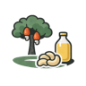 anacarde icon